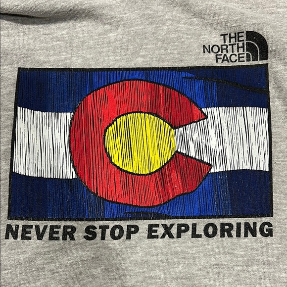 The North Face Gray Colorado Hoodie - Picture 3 of 3